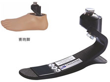 碳纤储能脚